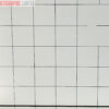 Sinar Large Format 5x7 Screen with Grid (536.37). Graded: EXC+ [#11744] - Image 11